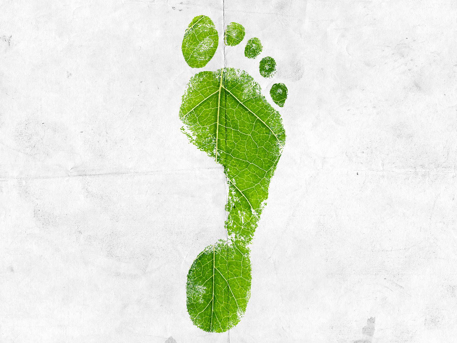 sustainability footprint